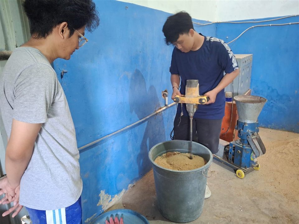 Proses formulasi pakan Sipatuo